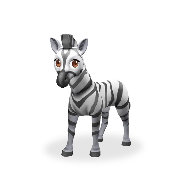 Plains Zebra